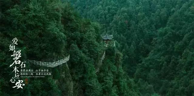 逃离仿真森林